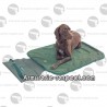 Tapis pour chien