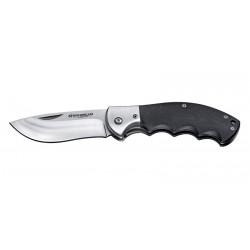 NW Skinner