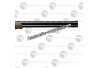 FUSIL DE PLAINE - CAL.28 - CROSSE PISTOLET - EXTRACTEURS - BASCULE ERGAL DOUBLE DETENTE