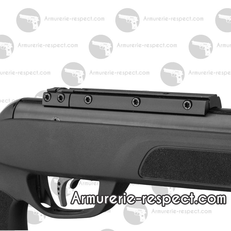 Carabine à plomb 36 ou 45 joules : Gamo G-Magnum