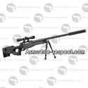 Pack sniperréplique airsoft AW308 lunette bipied silencieux