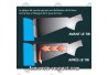 Browning A5 one semi-auto fix Cal 12 Choke DS invector 71 cm