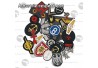 Assortiment de 50 insignes OTAN