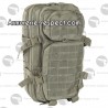 Sac à dos militaire US foliage green 20 litres