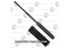 Matraque télescopique 53 cm noire