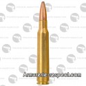 20 cartouches de chasse Remington cal 7.08