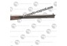 Carabine 1886 Lever Action Sporting Rifle cal 45/70