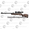 Carabine Gamo Hunter 440 AS 4.5 mm + lunette 3-9x40 WR