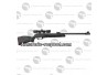 Carabine à plombs Gamo Black Bear 19.9 joules + 4x32